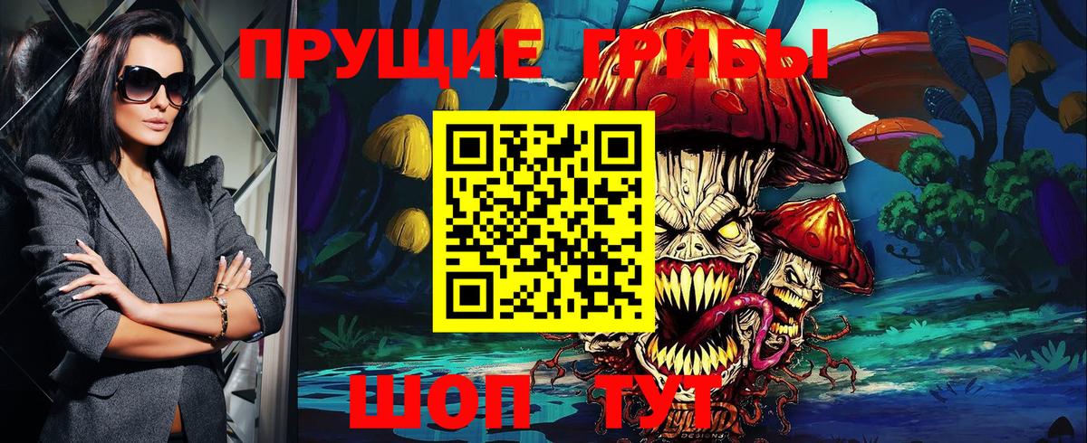 Псилоцибиновые грибы Psilocybine cubensis Елизово