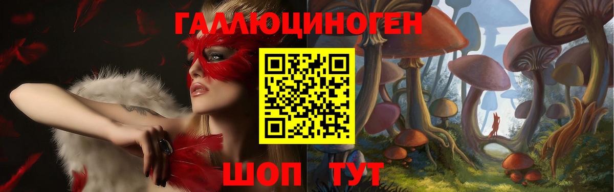 Псилоцибиновые грибы прущие грибы  Вход с VPN  продажа наркотиков  Елизово  Галлюциногенные грибы Magic Shrooms 